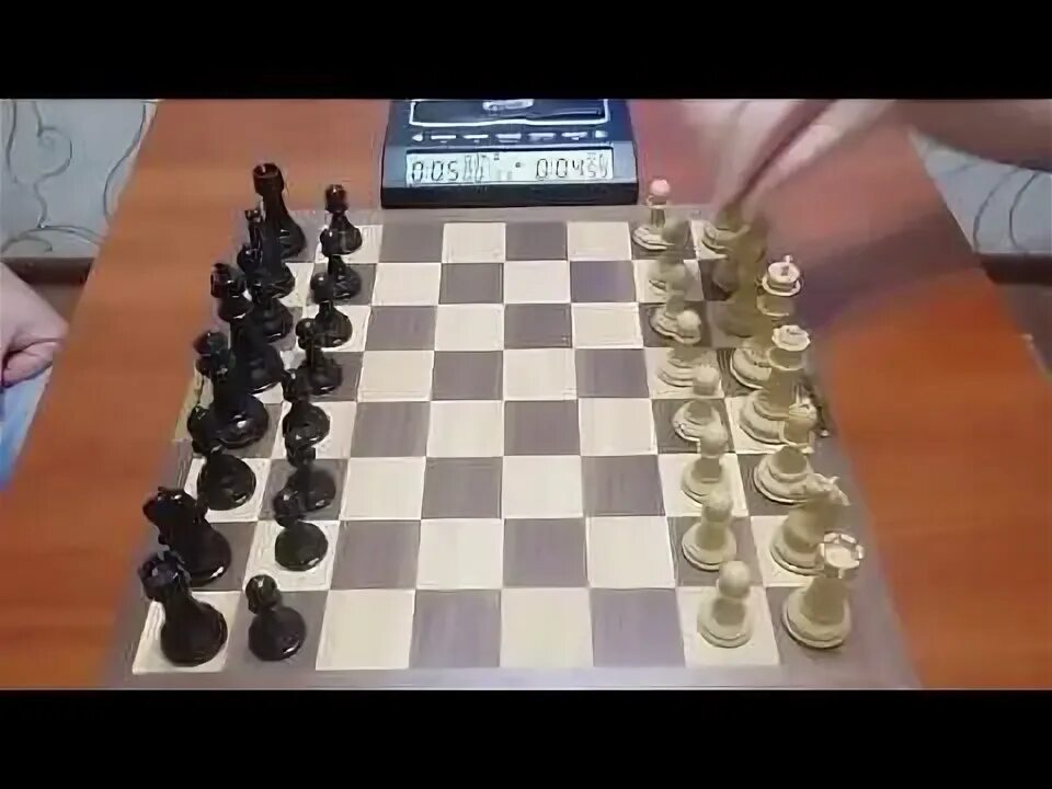 Научить играть в шахматы с нуля. Научить играть в шахматы с нуля