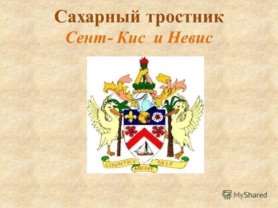 Гербы стран с растениями. Страны на гербах которых изображены растения. Презентация на тему цветы на гербах. Сообщение на тему цветы на гербах разных стран.