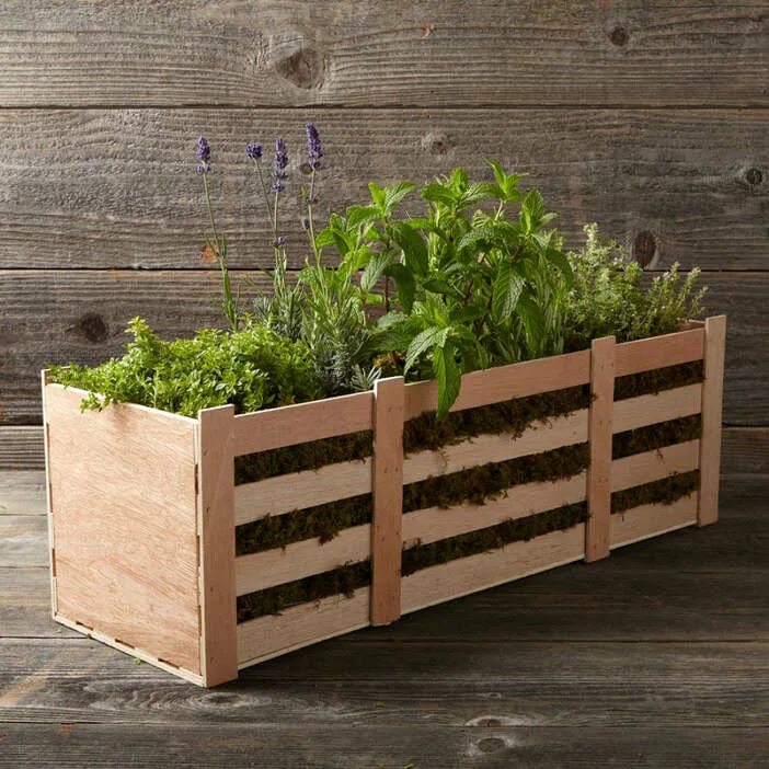 Ящики для зелени. Кашпо деревянное. Зелень в ящиках на даче. Ящик для зелени. Ящик для посадки растений.