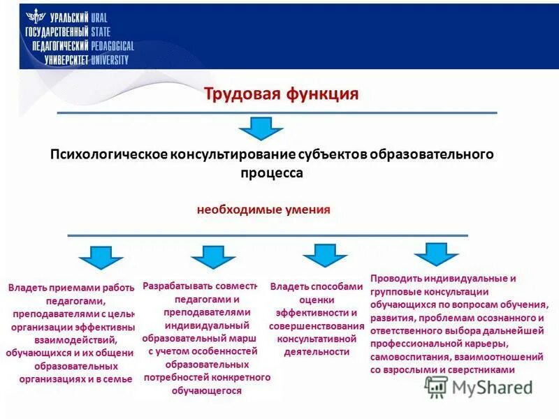 Выполнение обучающимися определенных трудовых функций. Выполнение обучающимися определенных трудовых функций