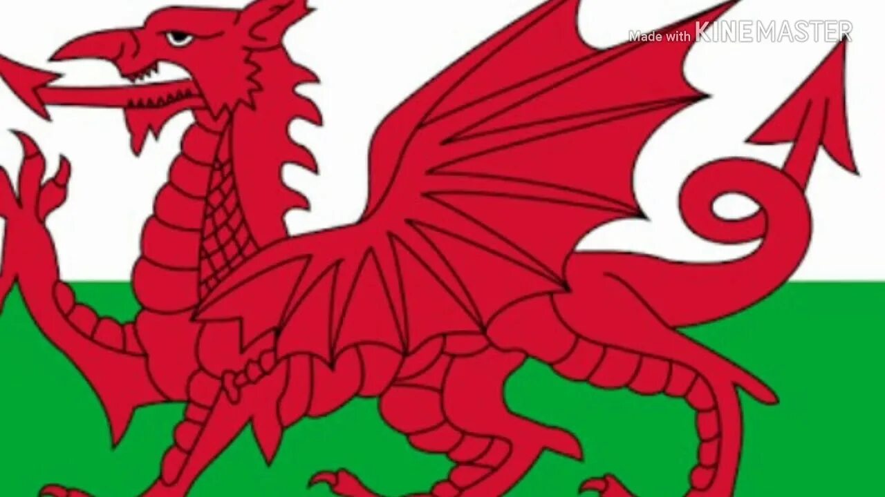 Blue wales. Wales cities. Blue wales. Blue wales. Южный уэльс англия.