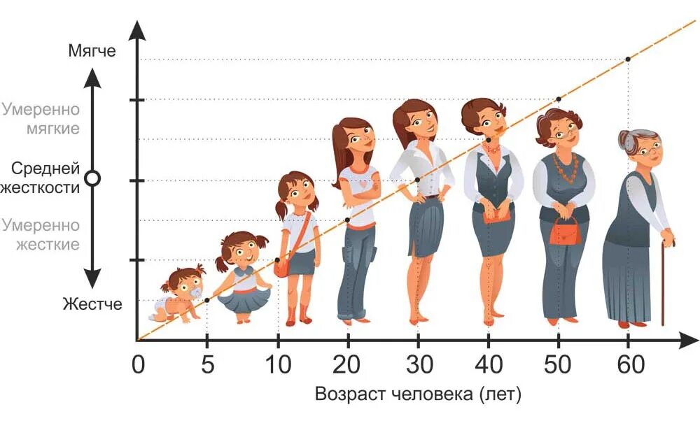 Почему рост человека уменьшается с возрастом. Возраст человека. люди разных возрастов. жесткость матраса по возрасту. возрастные изменения человека.