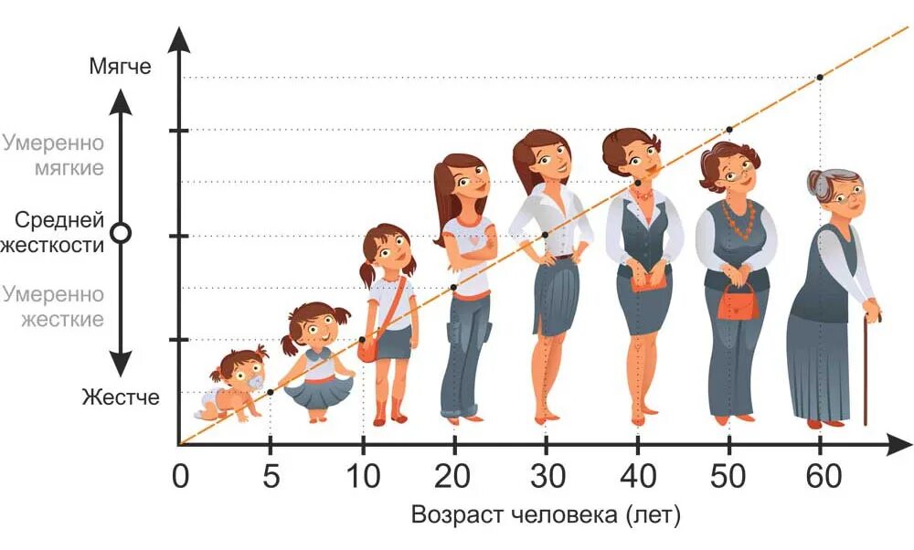 Что есть возраст человека. Возраст человека. Этапы взросления человека по годам. Возраст человека схема. Жесткость матраса по возрасту.