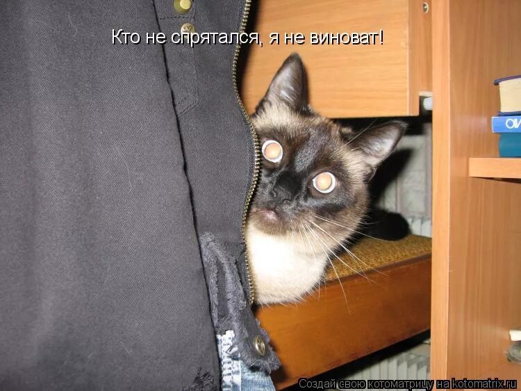 Не спрячешься я тебя найду