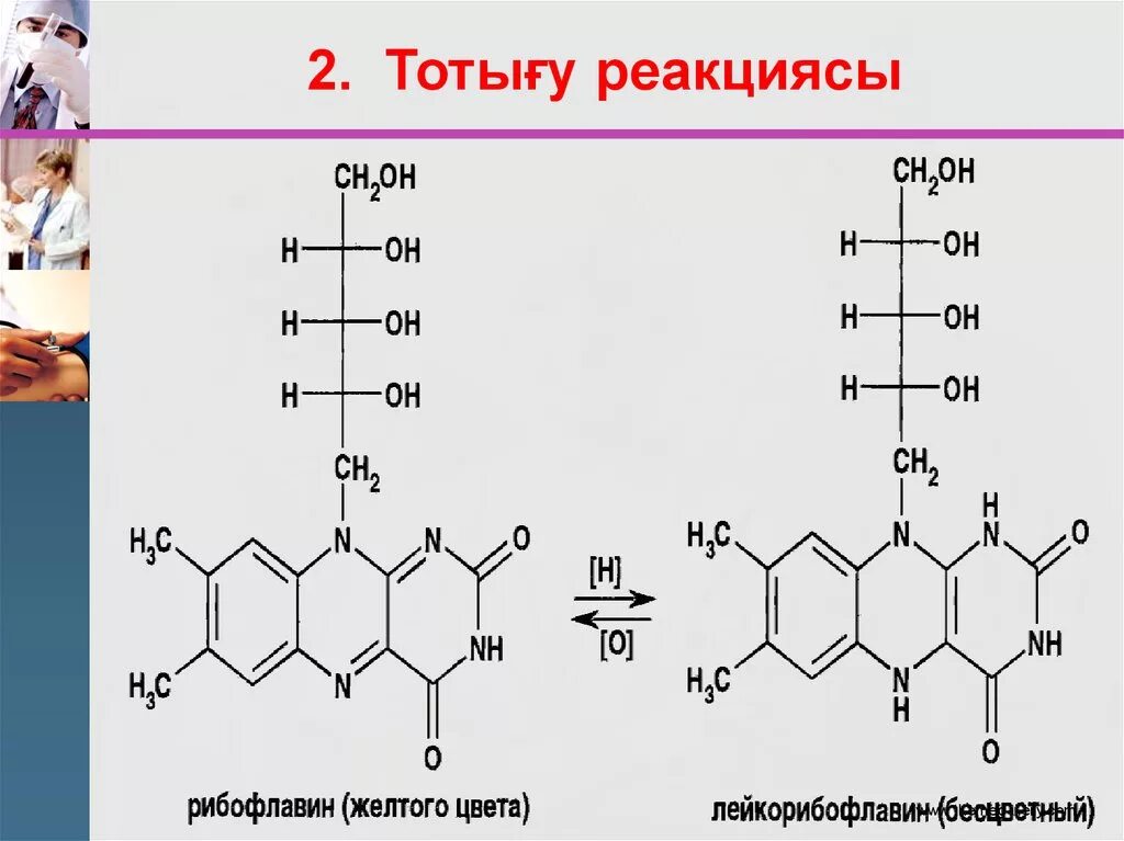 Изоаллоксазин. Птерин. Тоты5у тоты0сыздану реакциялары. Sulfidlar reaktsiyasi.