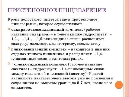 Основная роль мембранного пристеночного пищеварения
