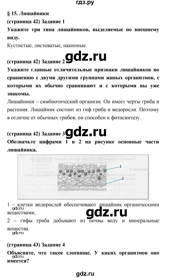 Биология 5 класс учебник параграф 15 конспект. План параграфа по биологии. Биология 5 класс рабочая тетрадь параграф 15. Биология 6 класс 5 параграф пасечник. Параграф 10 конспект биология 6 класс пасечник.