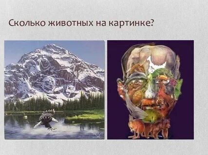 Лицо из животных найти верблюда ответ