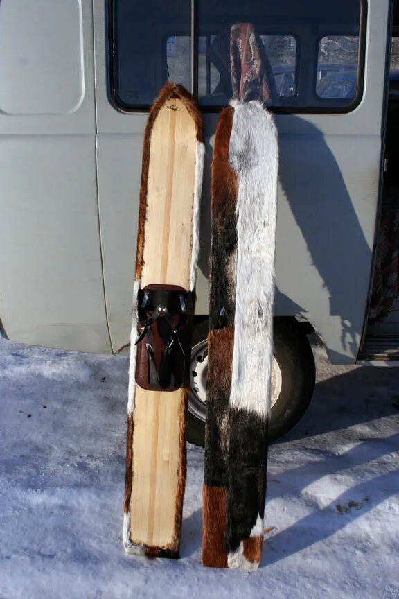 Лыжи охотничьи с камусом купить. Лыжи охотничьи камусные Абаза. Охотничьи лыжи с камусом. Финские охотничьи лыжи. Лыжи охотничьи зима.