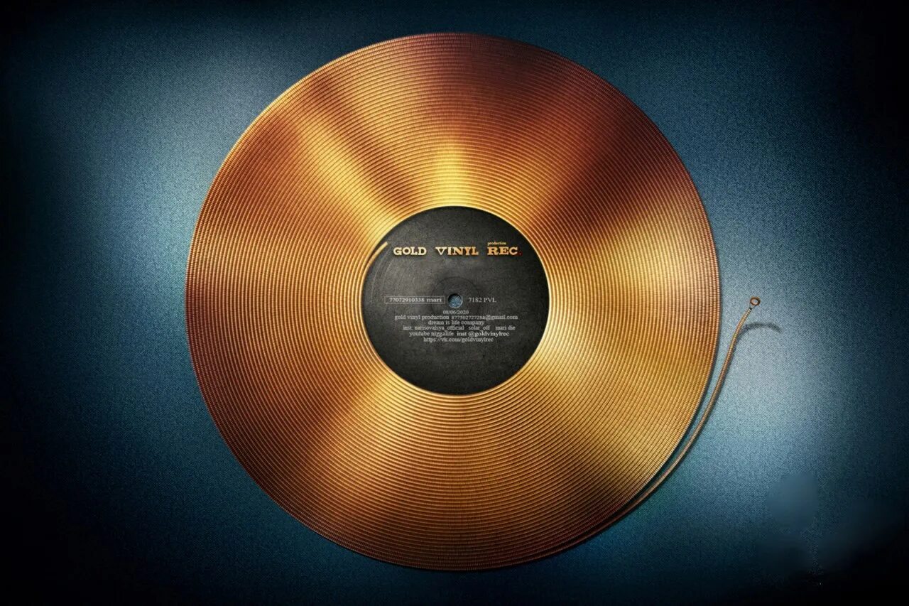 Платиновый диск. Золотая виниловая пластинка. Золотой виниловый диск. Музыкальный диск.