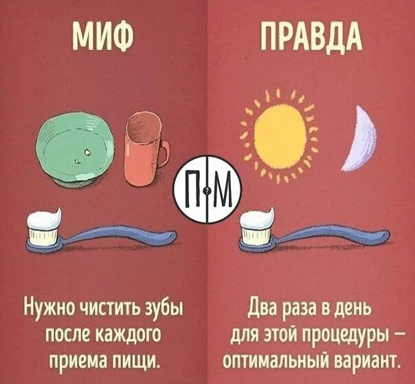 Дрожжи в туалет. Правда или миф. дрожжи в школьном унитазе. засыпали дрожжи в туалет.