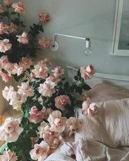 Эстетик цветов