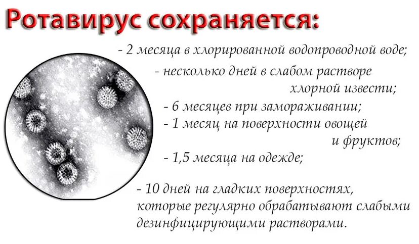 С вирусами справимся