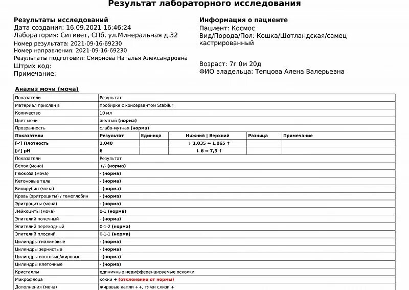 Кальций в моче норма. Доза таблетки габапентин. Габапентин побочка. Габапентин максимальная дозировка. Рецепт на препарат габапентин.