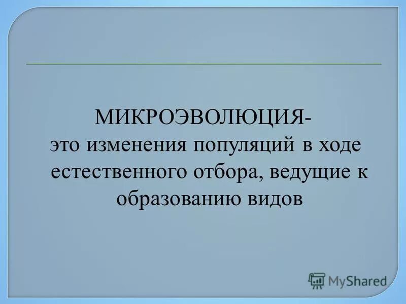 Микроэволюция дарвин. Микроэволюция.