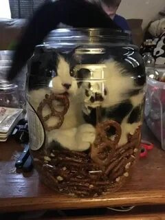 Полезай в банку