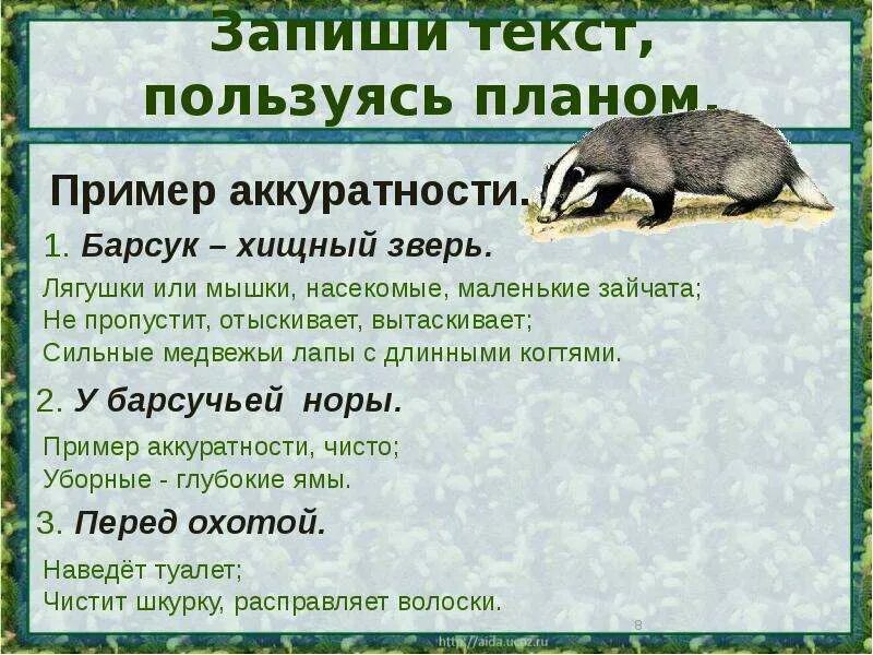 Сообщение о барсуке. Интересные факты о барсуке. изложение барсук. барсук презентация.