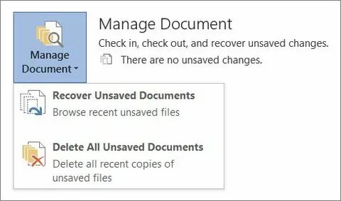 Version document
