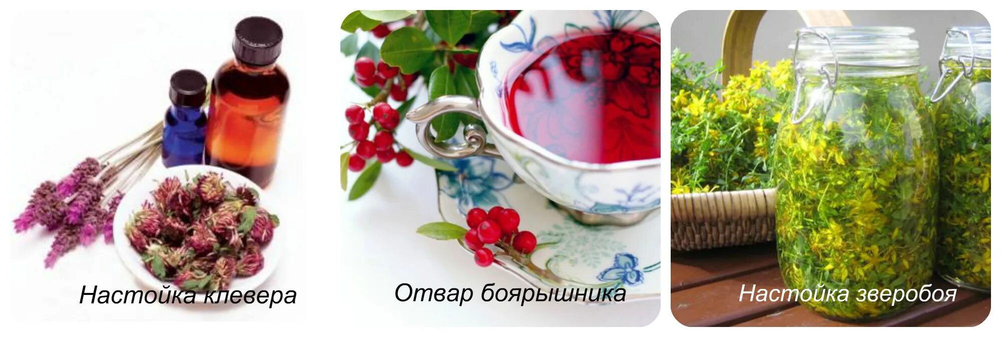 Народное средство для сосудов мозга. Настойка для чистки сосудов головного мозга. народное средство от сужения сосудов. настойка для очищения сосудов головного мозга. что сужает сосуды народными средствами.