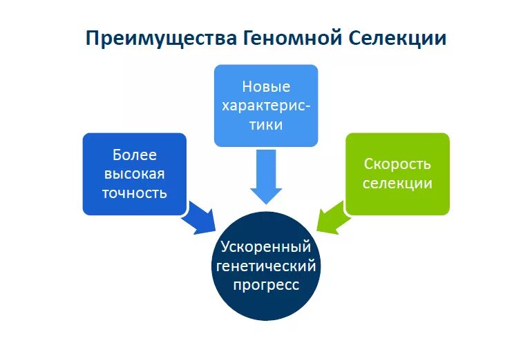 Маркерная селекция. Молекулярно-генетические маркеры. Метод геномной селекции. Маркер селекции. Маркеры селекции.