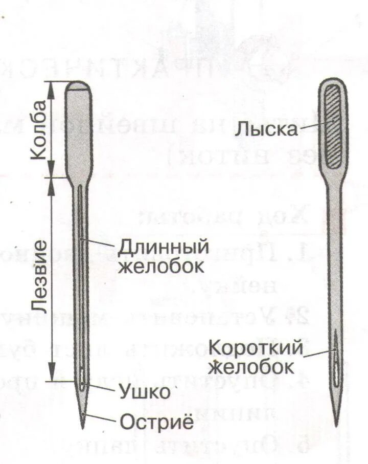 Длинный желобок иглы. Схема машинной иглы швейной машины. Устройство швейной иглы 5 класс. Схема иглы для швейной машины. Схема устройства швейной иглы.