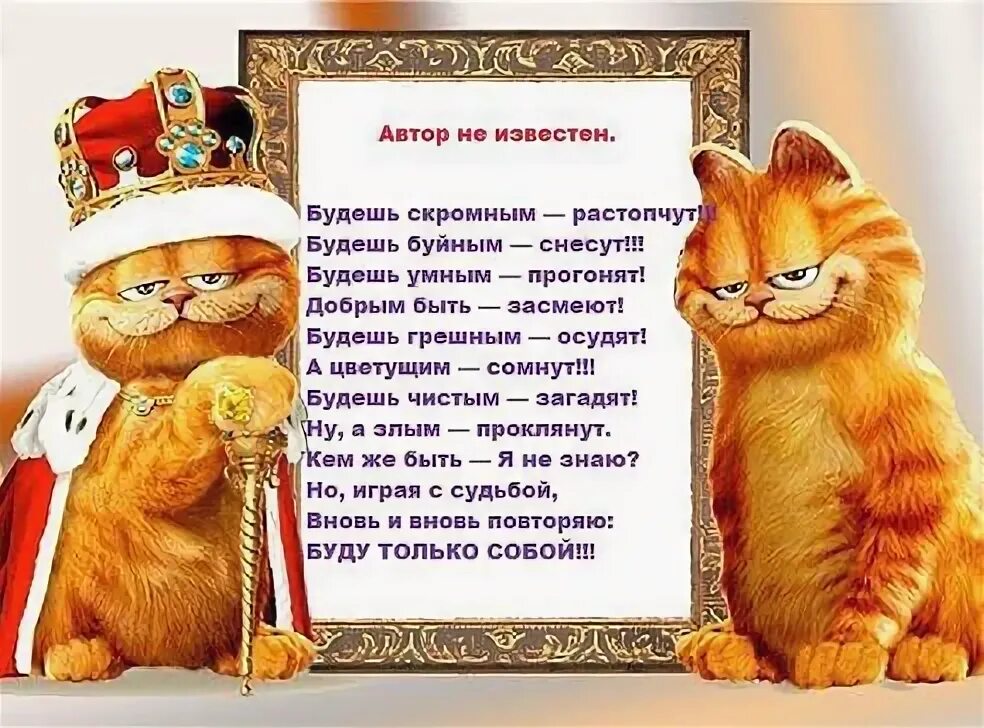 Будешь умным прогонят. Будешь скромным растопчут будешь буйным снесут будешь. будешь скромным растопчут, будешь буйным снесут, будешь умным. быть скромным. будешь буйным снесут скромным.
