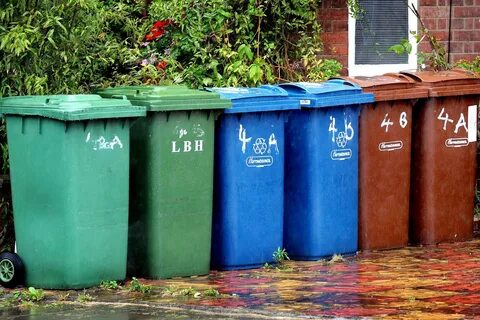 Plant flowers recycle cans collect
