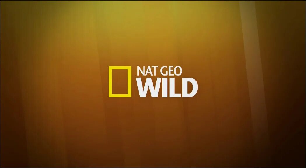 Nat geo wild программа. Нат гео вайлд. nat geo wild логотип. телеканал national geographic wild. телеканал нат гео вайлд.
