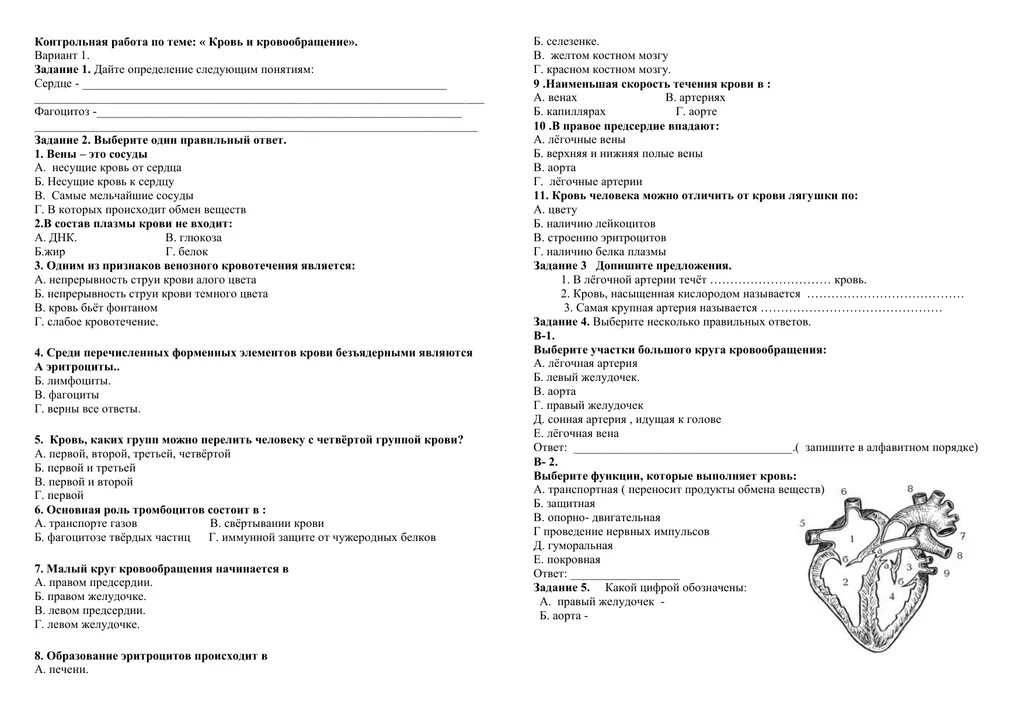 Тест по биологии 8 класс кровь и кровообращение с ответами. Тест по биологии 8 класс по теме кровь. Тест биология 8 класс кровь кровообращение. Контрольная по биологии 8 класс кровь и кровообращение. Гемодинамика тесты