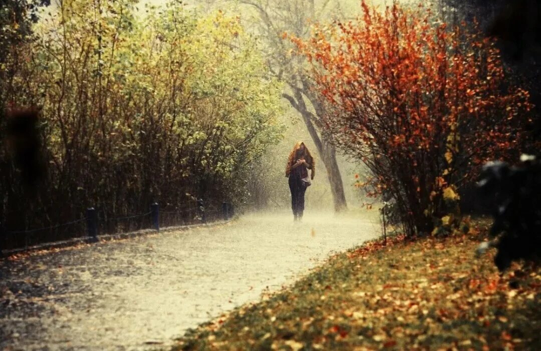 Осень без людей. Осень дождь. Люди под дождем осень. Поздняя осень одиночество. Девушка в парке под дождем.