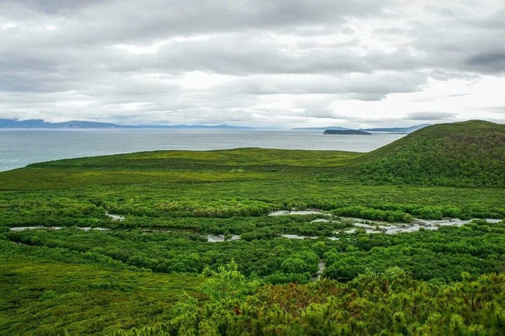 экопарк южный лес пермь. национальный заповедник йеллоустоун. построить заповедник. приокско-террасный заповедник тропа. построить заповедник.