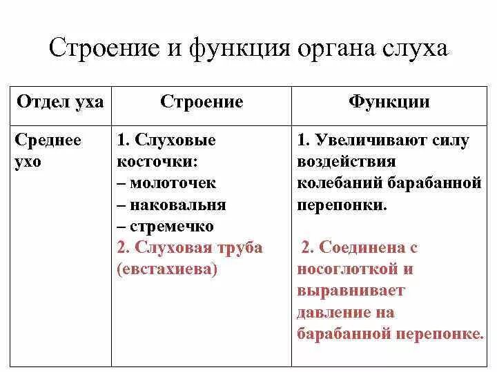 Среднее и внутреннее ухо функции. Строение и функции среднего уха. Строение уха отделы строение и функции. Среднее ухо строение и функции. Функции среднего уха человека.