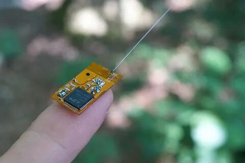 Chip device
