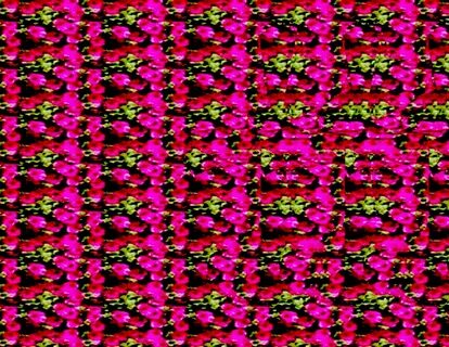 Easy Stereogram Builder.