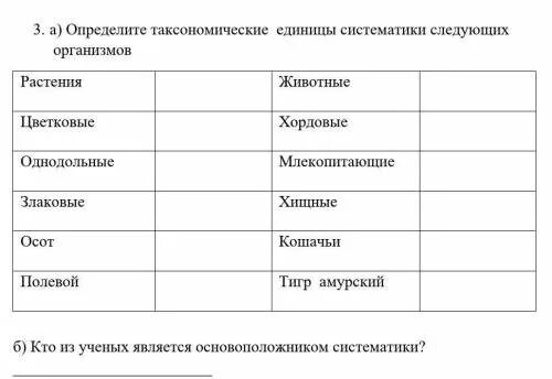 Какая таксономическая единица отсутствует у животных. Таксономические единицы. таксономические единицы систематики растений. исходная единица систематики организмов. таксономические единицы растений и животных.