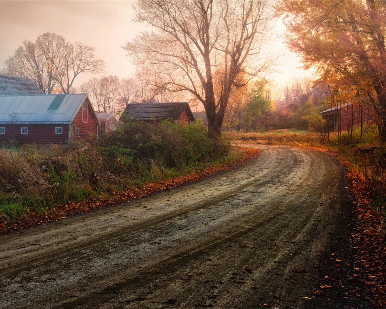 Decided to the countryside. Осень в деревне. Сельская местность. Пейзаж сельской местности. Фон деревня.