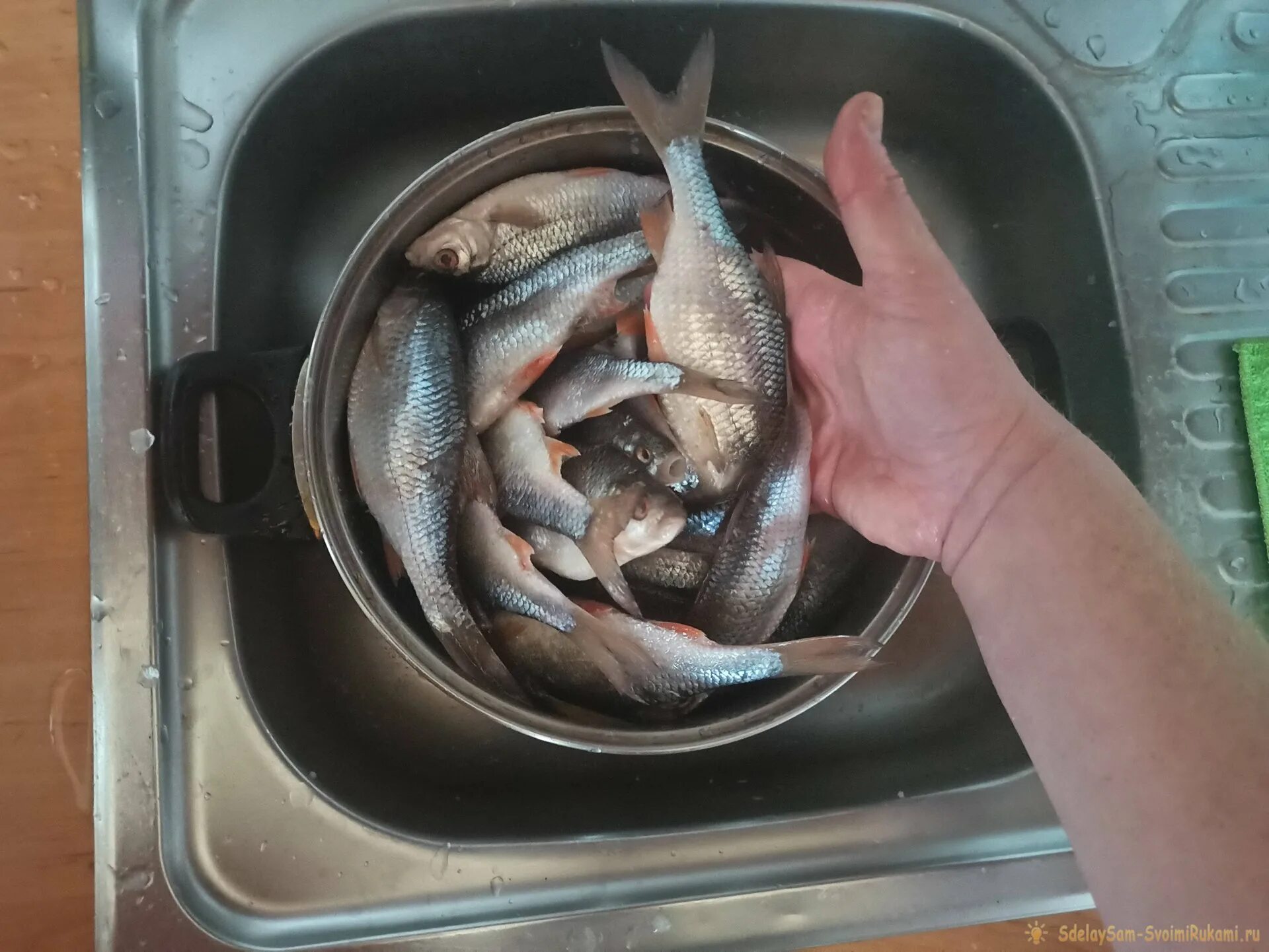 Как высушить карасей