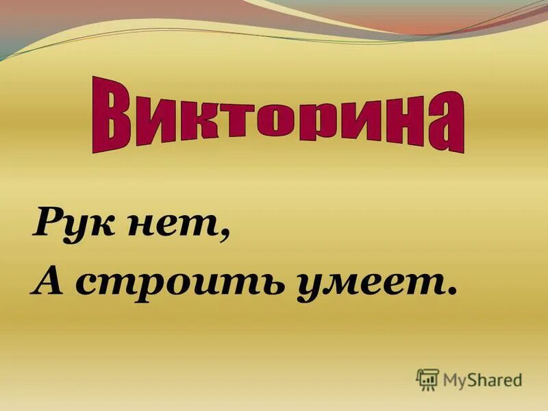 Рук нет а строить умеет. Загадки про птиц с ответами. Рук нет а строить умеет загадка. Рук нет а строить умеет ответ на загадку. Два брюшка четыре ушка отгадка.