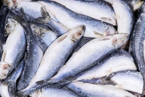 Рыба мороженая или мороженная