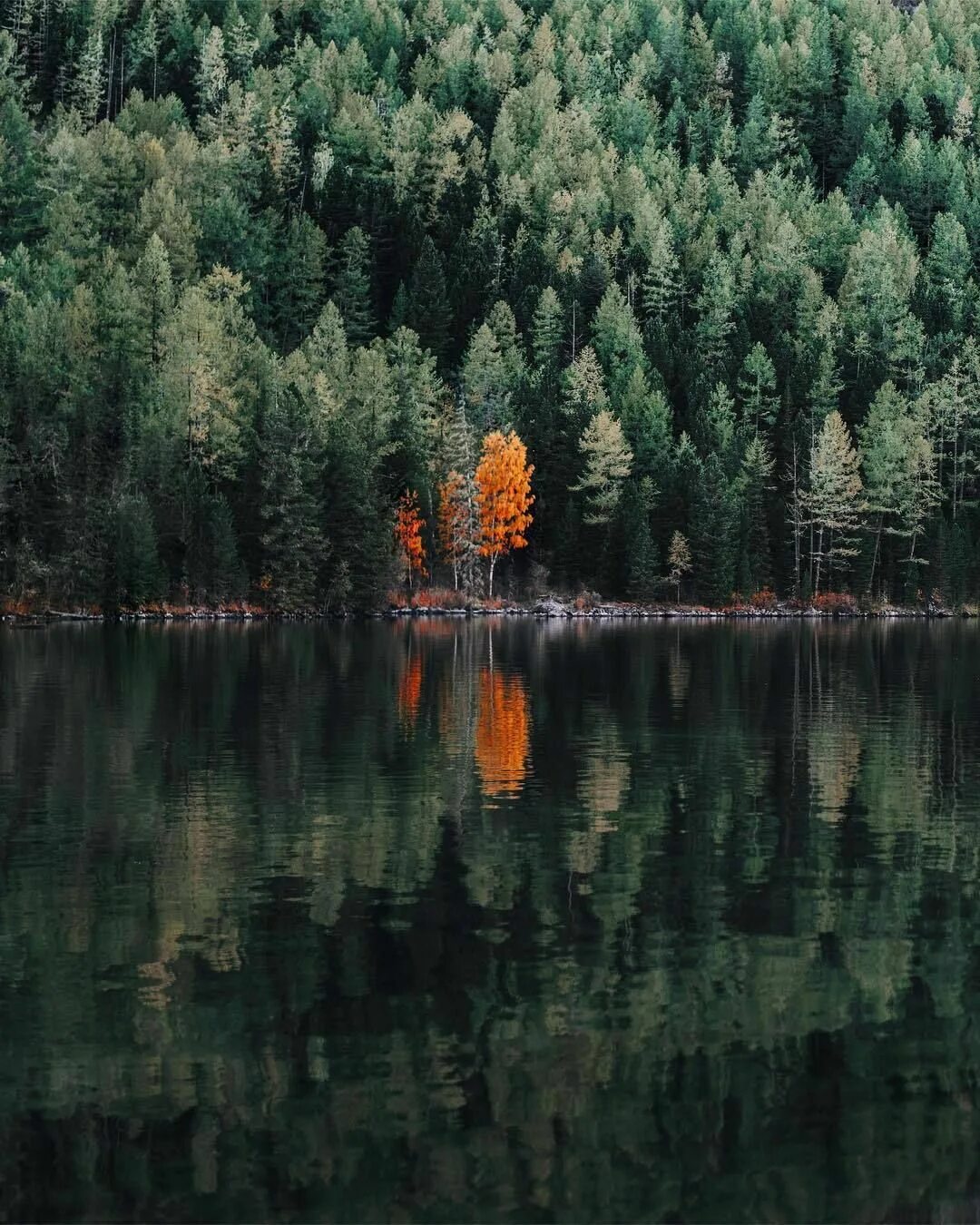 Инстаграмм природа. Природа для инстаграмма. Озеро в чаще леса. Озеро в лесу Эстетика. Озеро Эстетика лето.