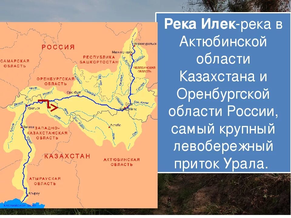 Илек оренбургская область на карте. Главные реки Оренбургской области карта. Река Илек на карте. Река Урал на карте. Река Илек на карте Оренбургская область.