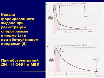Офв1 фжел норма