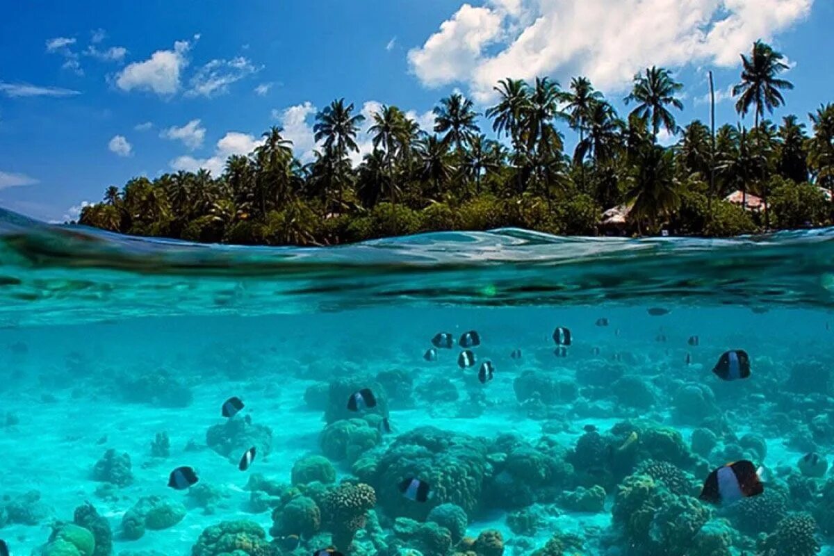 Нуса Тенгара. Мальдивы Лагуна риф. Индийский океан Тайланд. Тропический остров.
