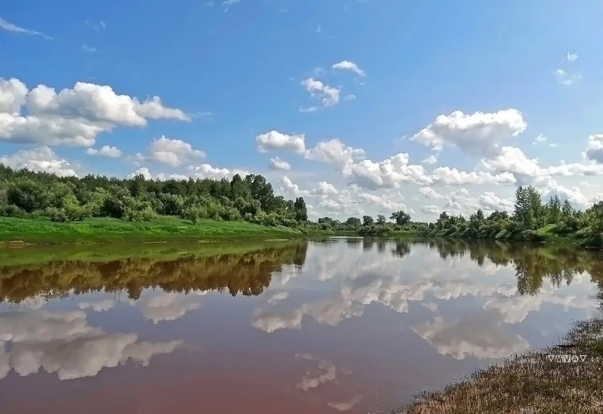 Река Обь. Река Обь в Бобровке. Реки впадающие в Обь Томская область. Обь томская область