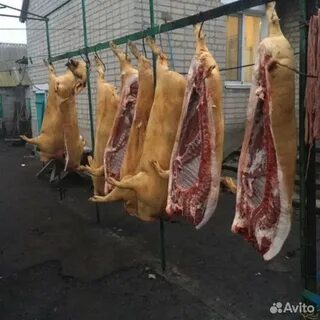Вес туши