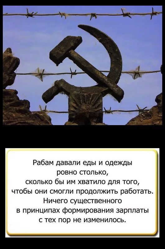 Сколько рабов столько рабов. Фразы про рабов. Цитаты про рабов. Фраза про рабство. Рабы афоризмы.