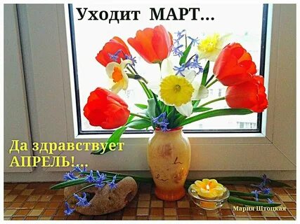 Здравствуйте завтра принесет