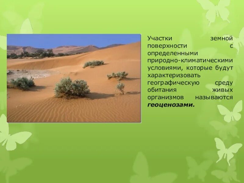 Природно климатические условия персии 5 класс. Климатические условия участка. Климатические условия обитания. Природные зоны с однородными климатическими условиями. Черниговская земля природно климатические условия.