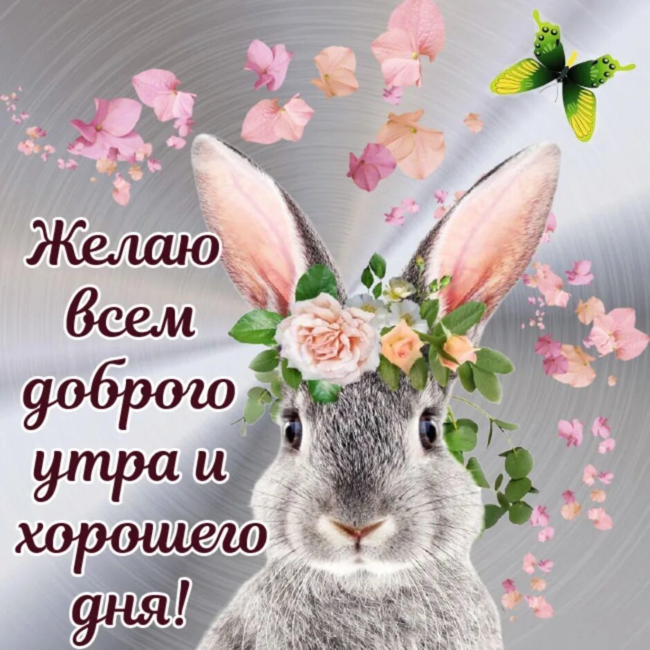 Épinglé par Римма sur ДОБРОЕ УТРО ! Привет !☕ ☕ Animaux adorables, Animaux, Imag