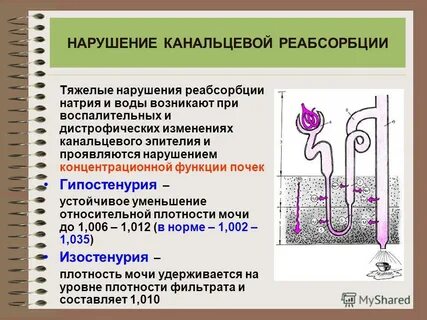 Почечная реабсорбция